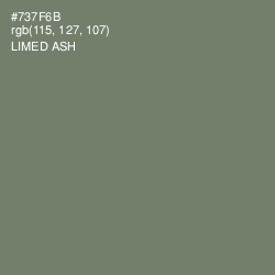 #737F6B - Limed Ash Color Image